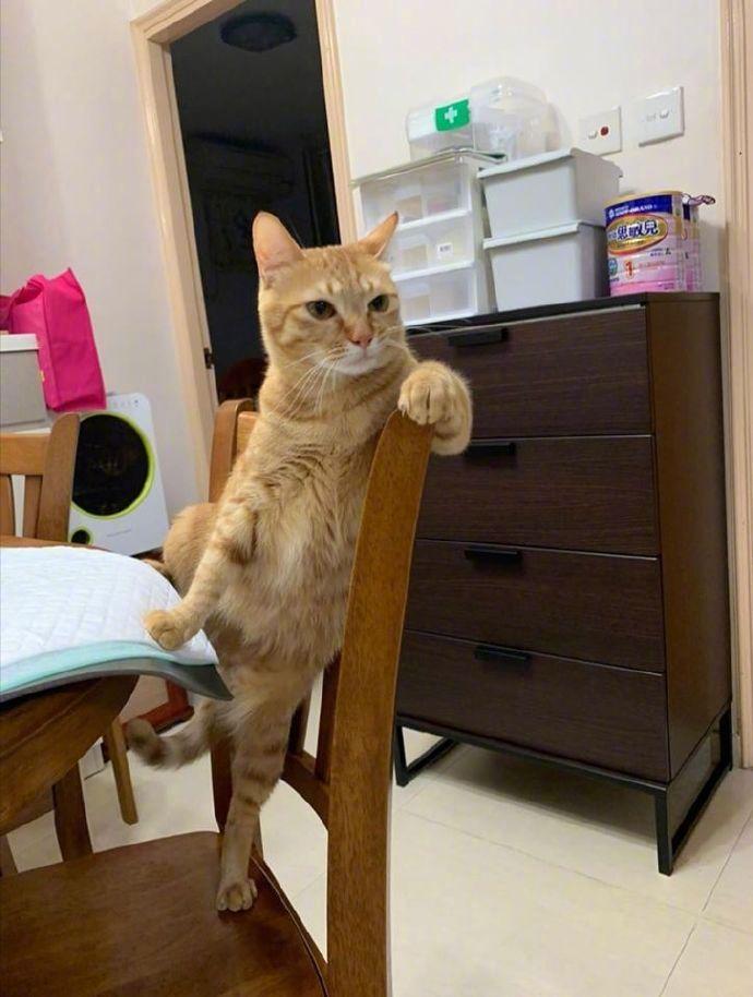 一家之主..
