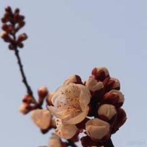 每日一善每日一善 保持阳光心态，积极面对人生。每个人，都沿着不同的轨道在活着，人