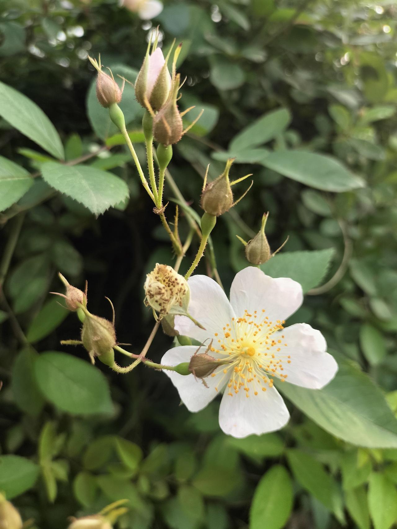 我今年47岁了，还是很迷人的，那女人迷人的秘诀是什么呢？就是远离渣男，只要不动情