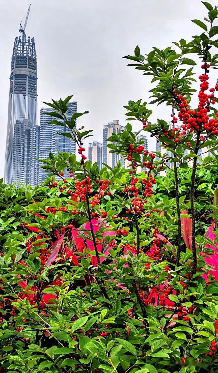 健康是人生一切的基石，

让你吃穿不愁。

 

健康是你一生的最大财富，

使
