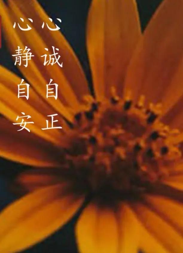 上聯：昨夜清風梳綠柳；
下聯：今日濁雨摧荷花。