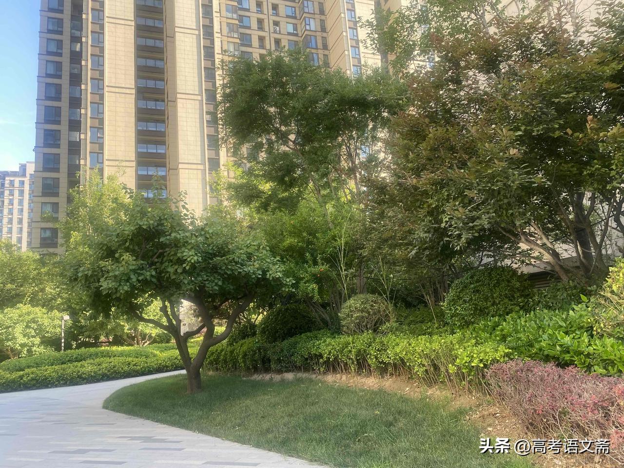 晒图笔记大赛阳光洒进现代都市，绿意盎然生机勃勃。