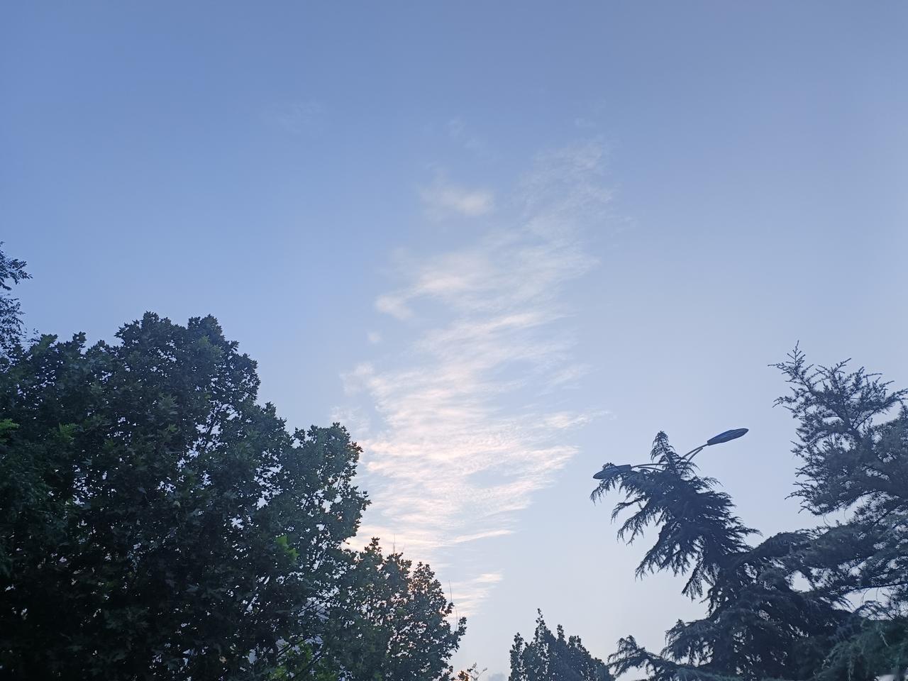 善良要有分寸，不必强行介入他人的因果。守住本心、心怀善意就好，过度插手反而容易让