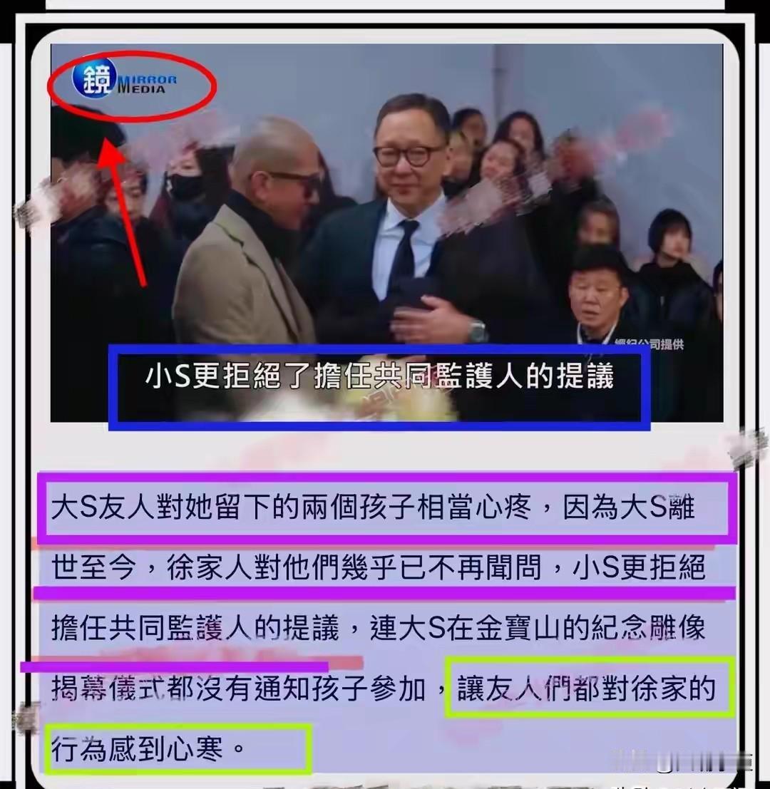 小S否认对大S两个孩子不闻不问，更否认拒绝担任共同监护人的提议，小S辟谣总结下来