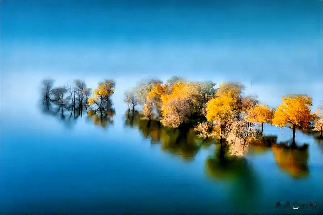 有一说一，这世界上最大的公平，
就是所有人都会死。
每个人，终将走向同一个终点。