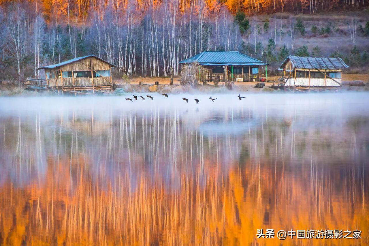 #秋日随记#秋水寒鸭