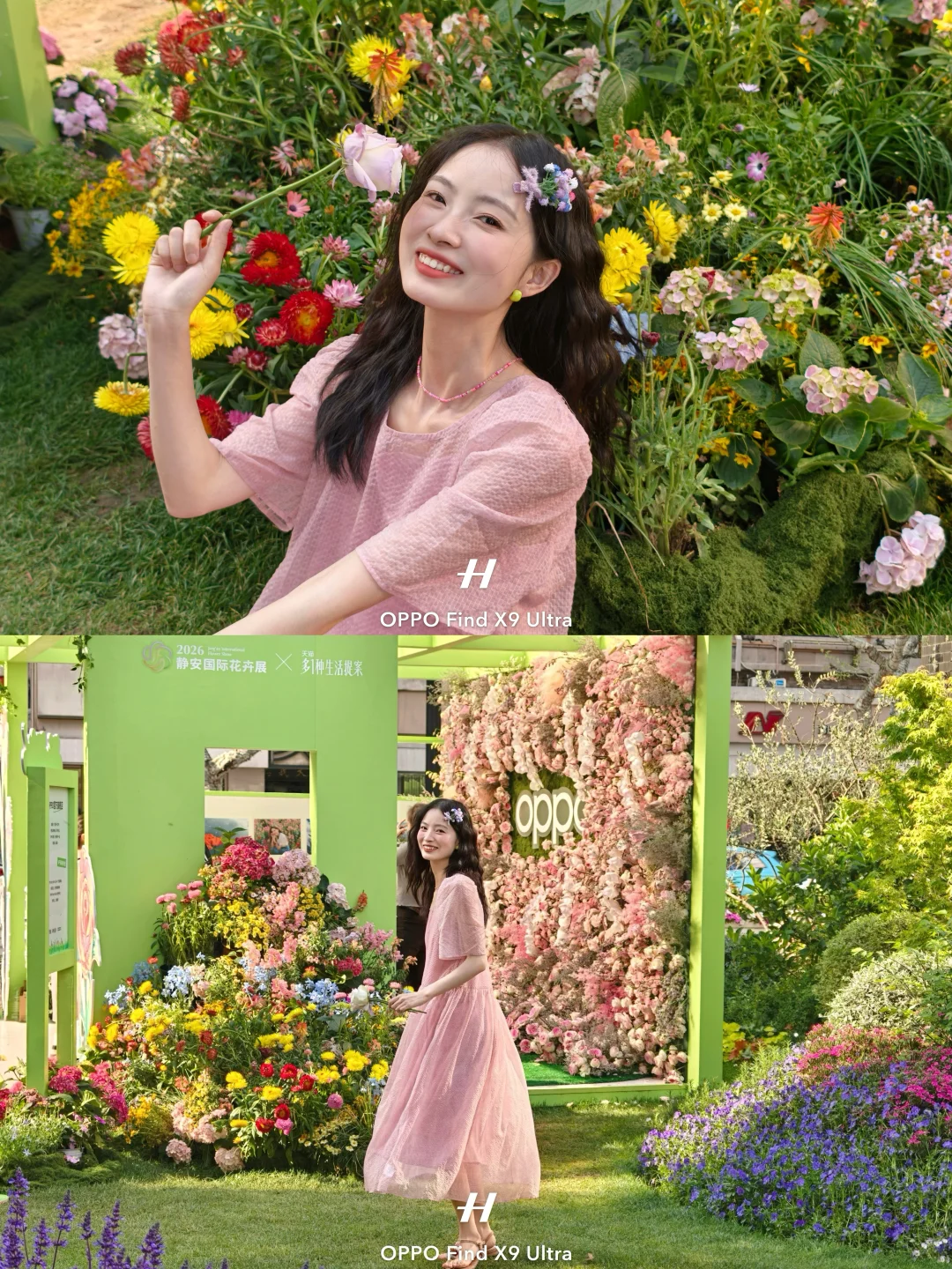 春来无事，只为花忙 🪴🪻₊⁺