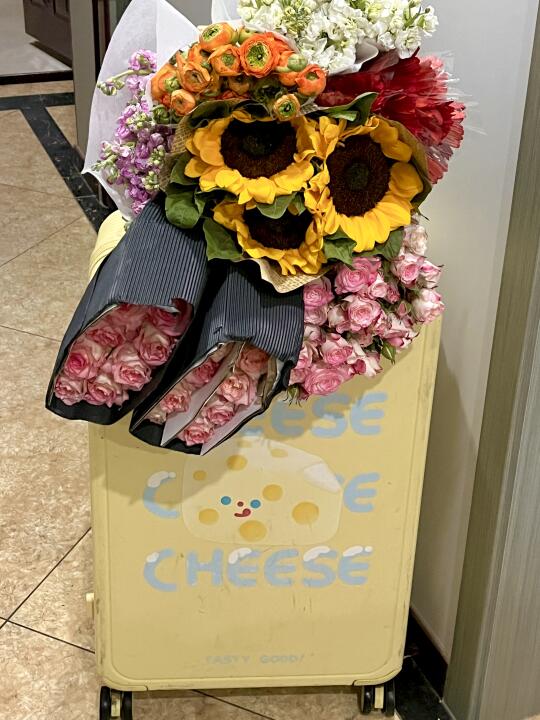 昆明斗南花市也太浪漫啦！！！是春天气息🌸🌷