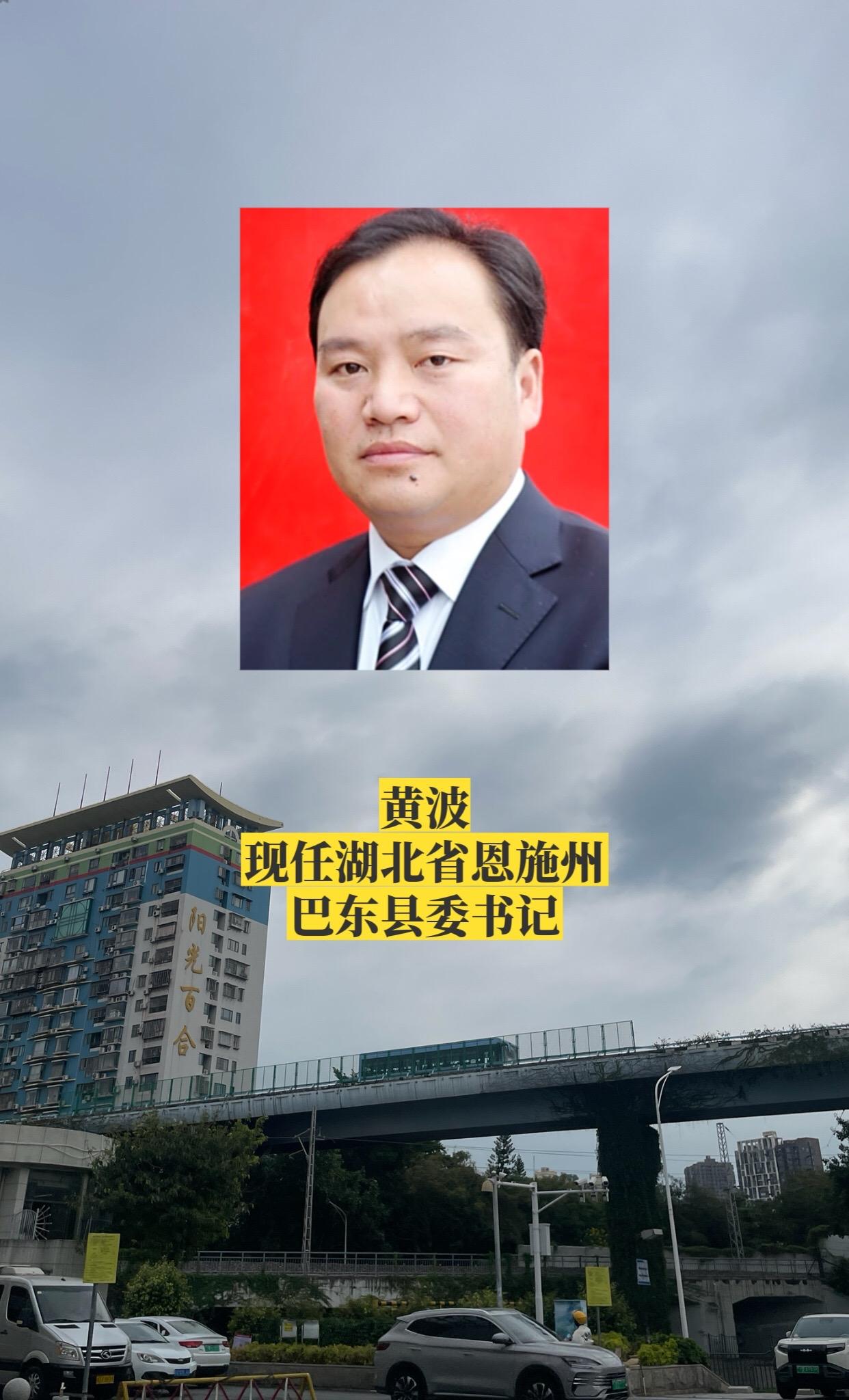 湖北恩施州各市县书记。