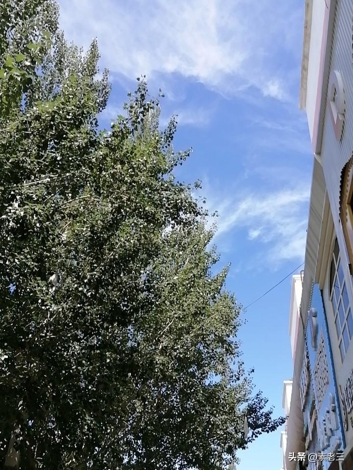 新的长篇已经开始写了。但这次我写的出乎意料的慢。

今天早晨比较顺利。忙完了早晨