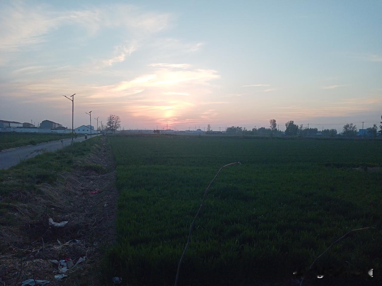 老农谚
可别不信
老辈人常说
二月二十四早看天，一年不用问神仙
二月二十四是雨天