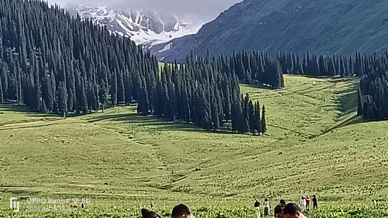 下联：雨润大地层层绿。请您对上联我对下联为，霞染长空片片红。