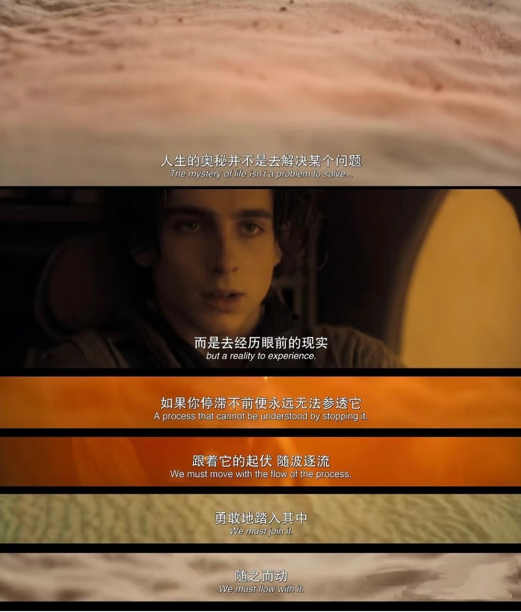 一剧早安人生的奥秘并不是去解决某个问题，而是去经历眼前的现实。大家早上好！ 