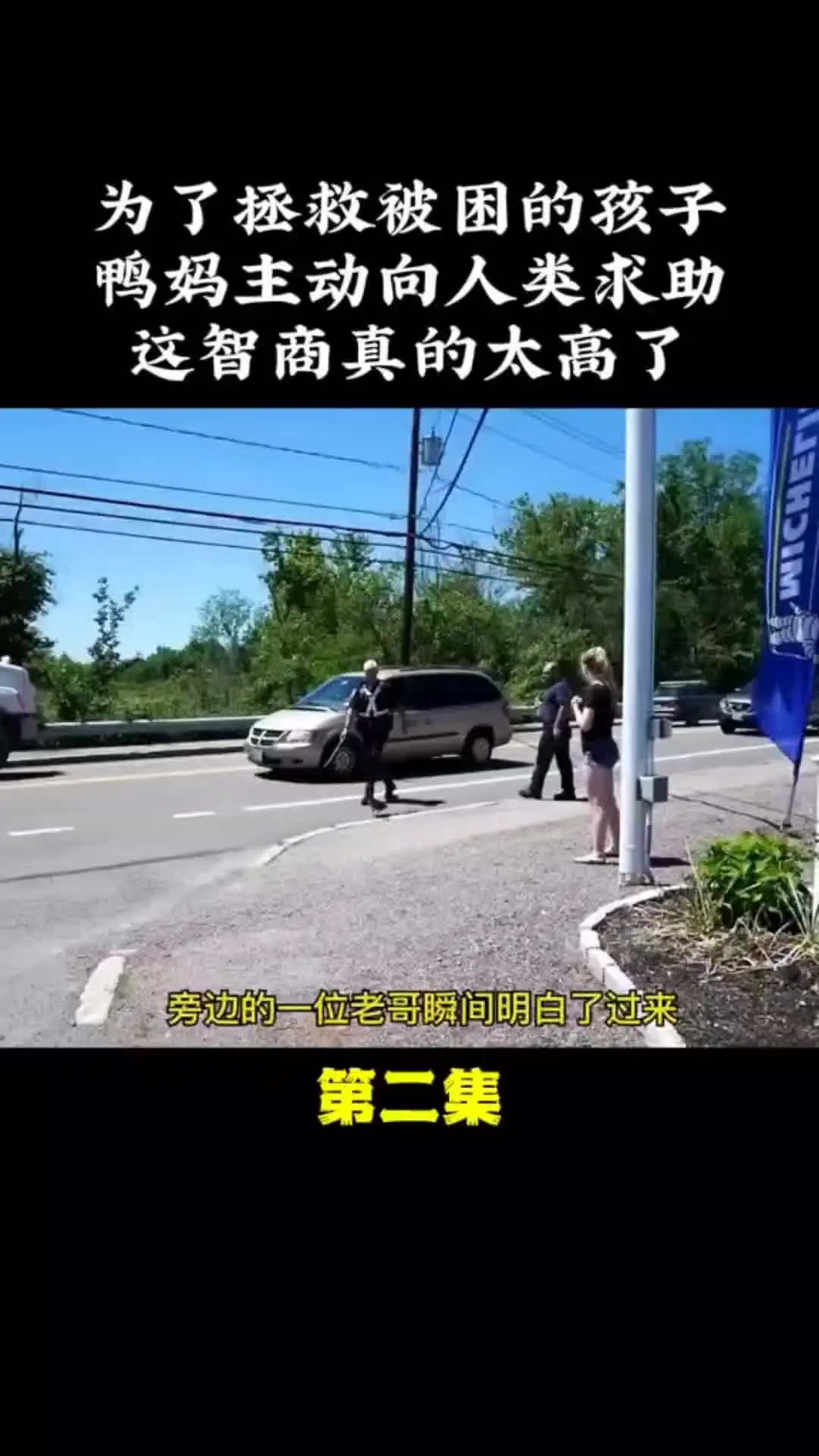 动物的迷惑行为