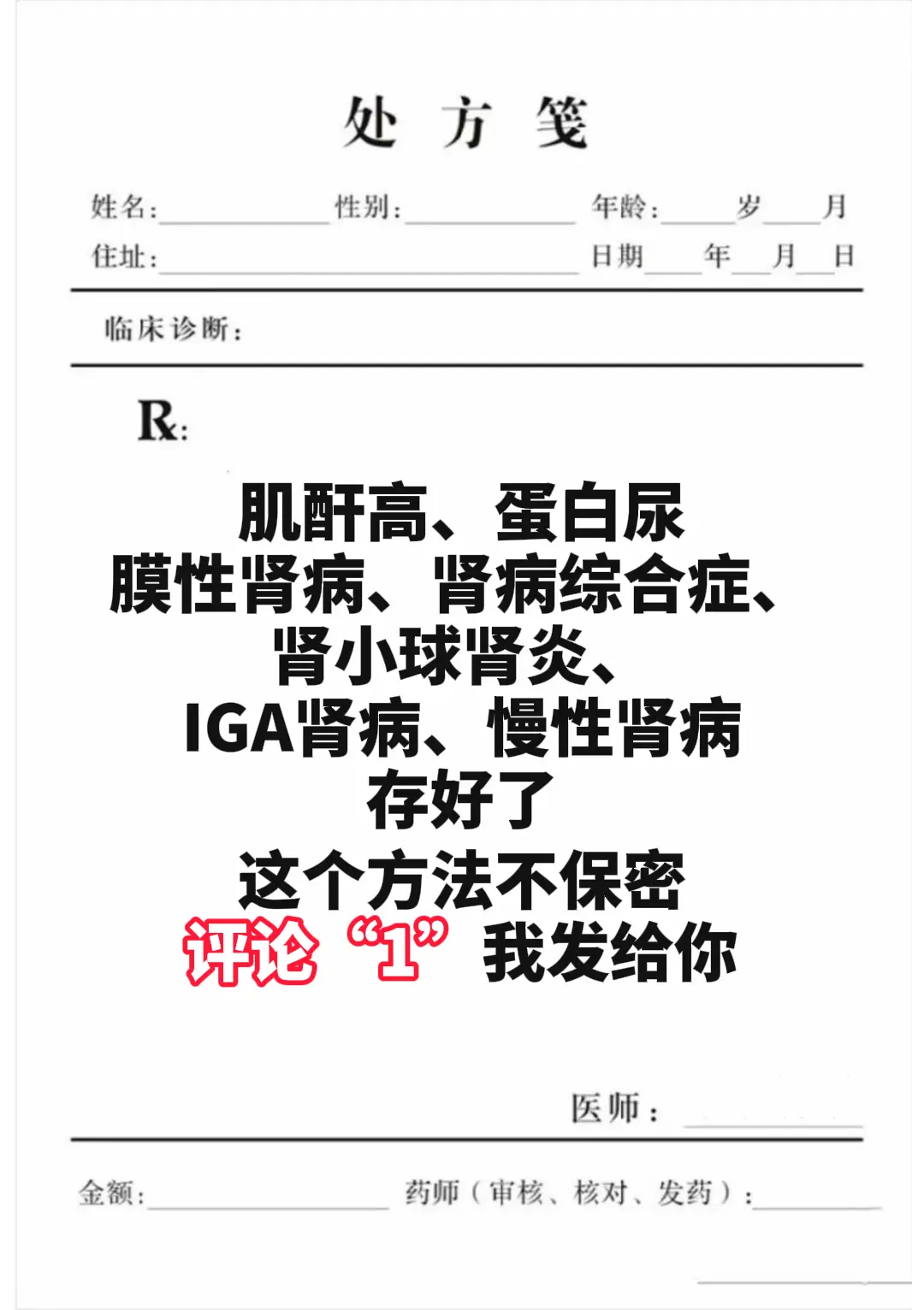 肾病 健康