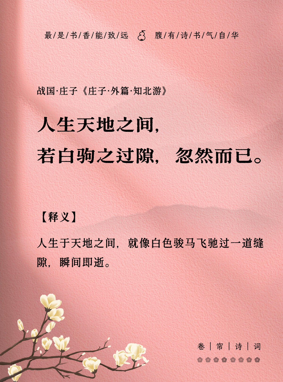 庄子：浮游乎万物之祖， 物物而不物于物！ 