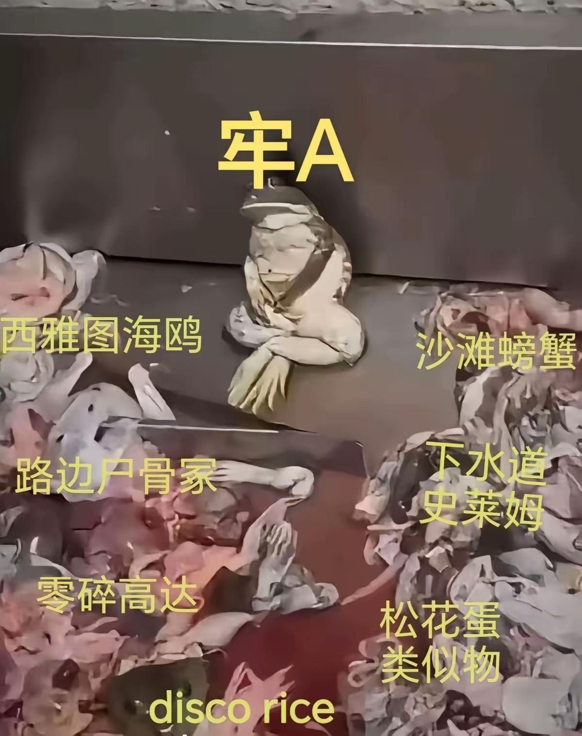 之前看牢A的吐槽，表示国内太多医院学校专家教授，想要牢A分享一些解剖高达的经验，
