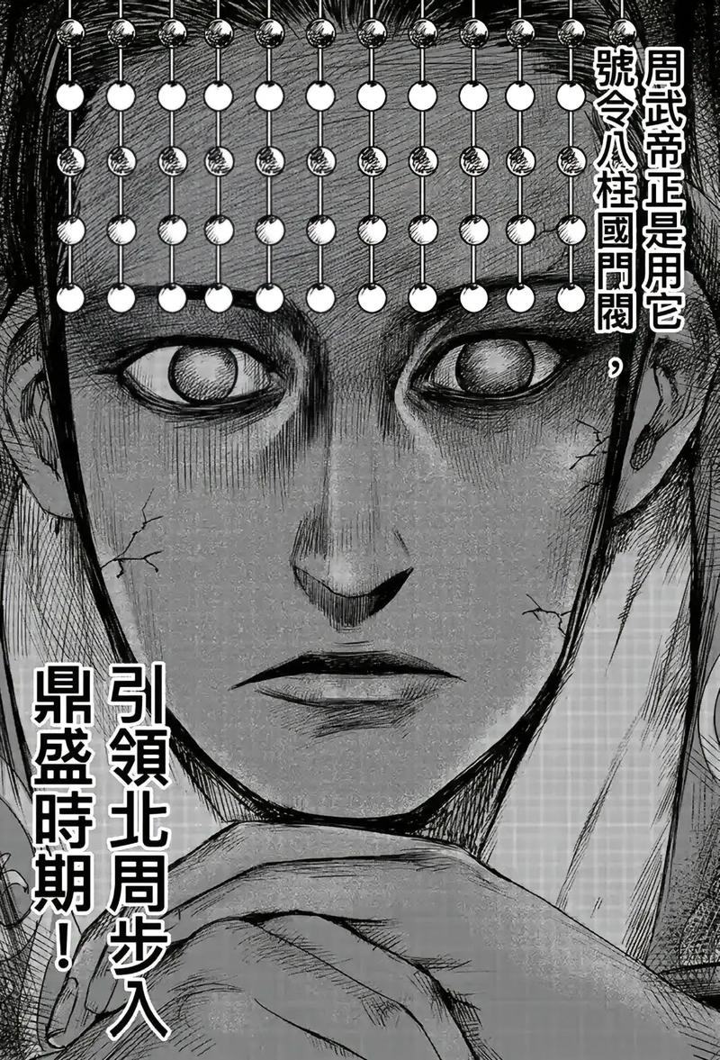 或许宇文邕没想到几代人穷尽一生打下的疆域最终被杨坚夺了