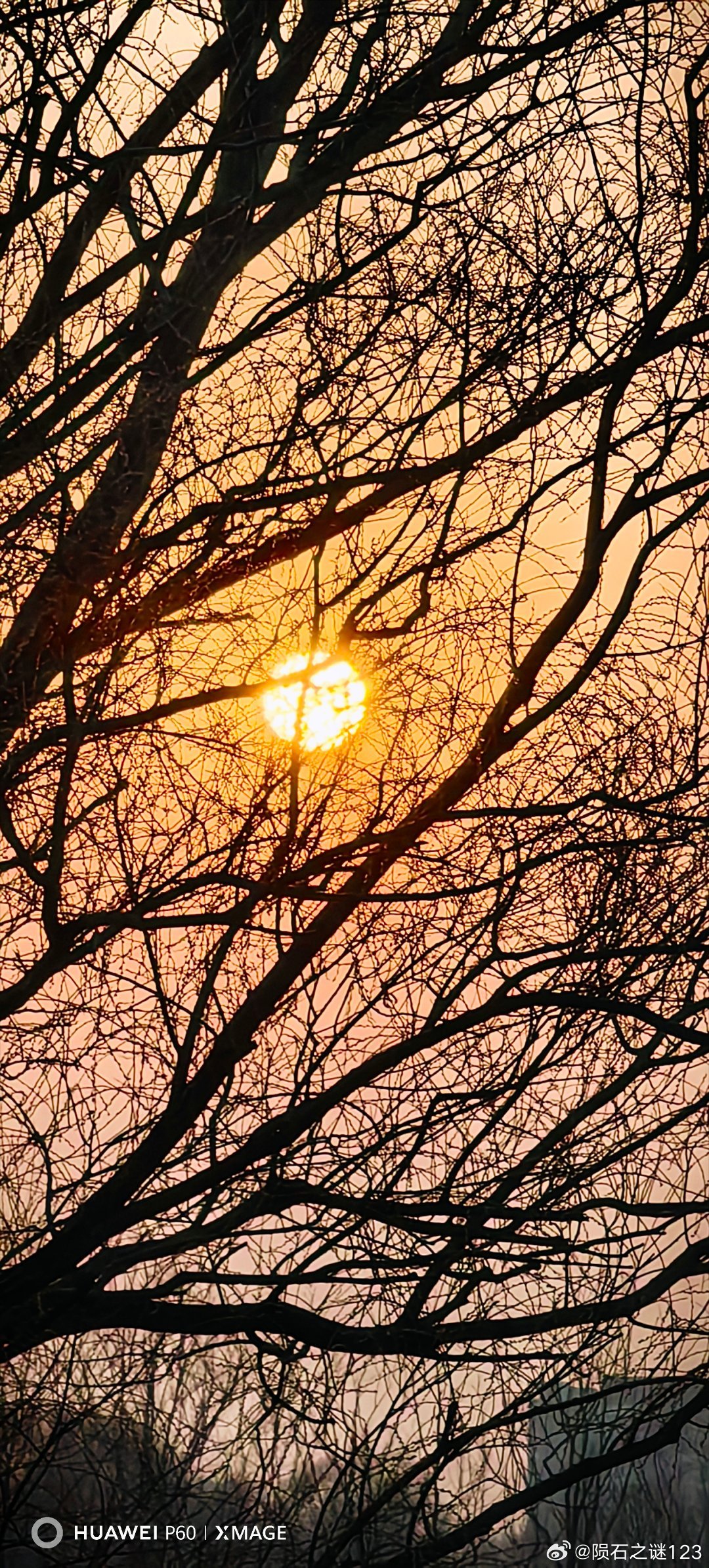 夕阳无限好，只是近黄昏。北京北京夕阳 北京·白浮泉公园