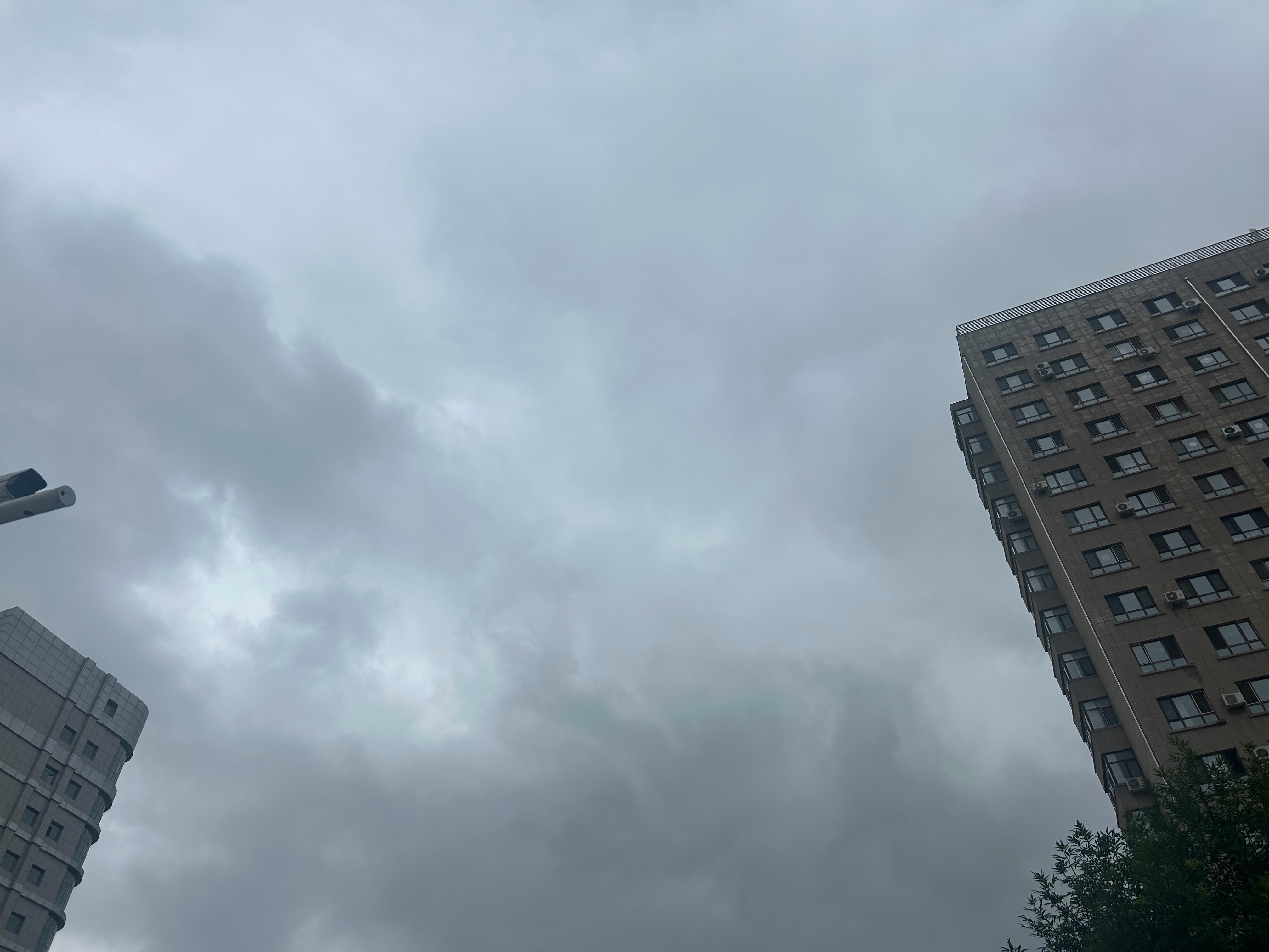 早上好呀立秋快乐这个温度真的唰一下子就降下来了穿半袖竟然有一点凉 
