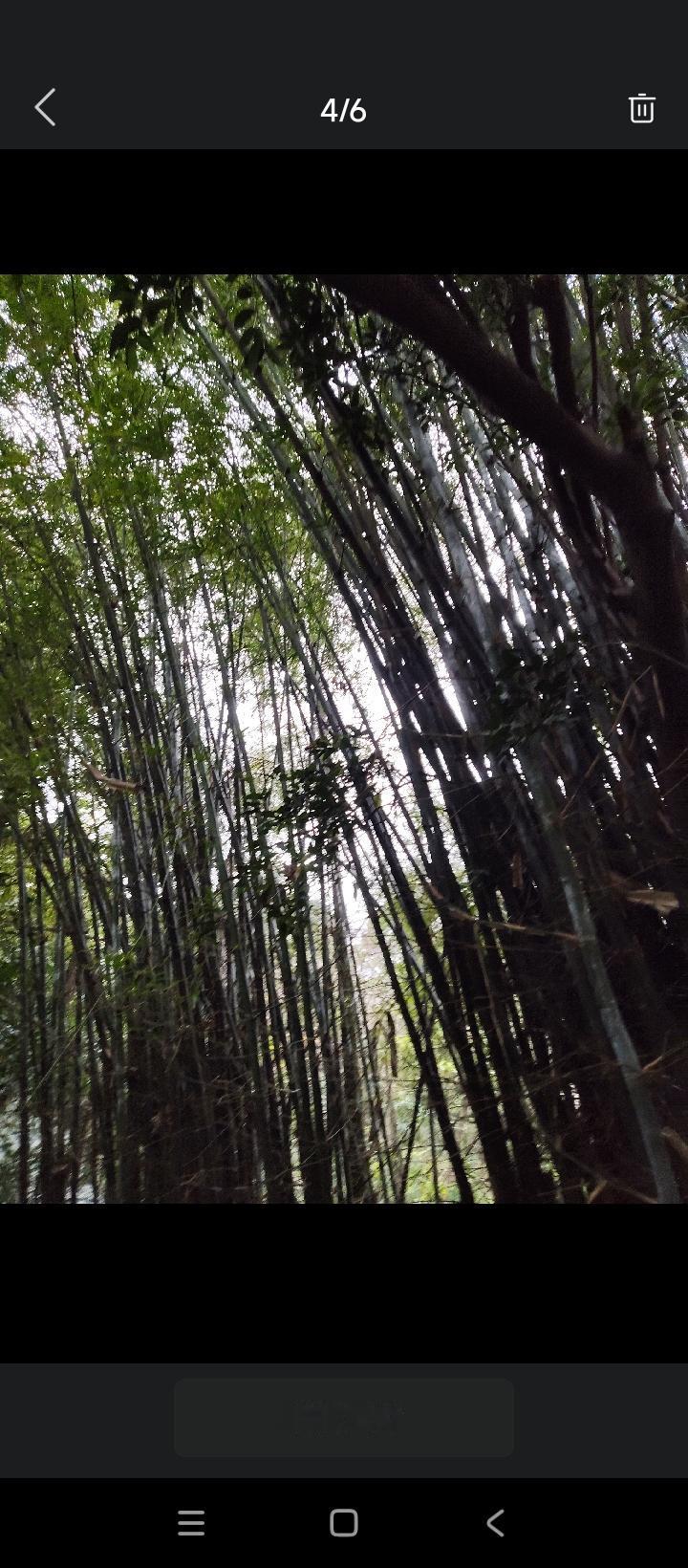 不知道为什么一到热天我就无精打采的？思维也没有那么敏捷，相比于热天，我更喜欢冷天