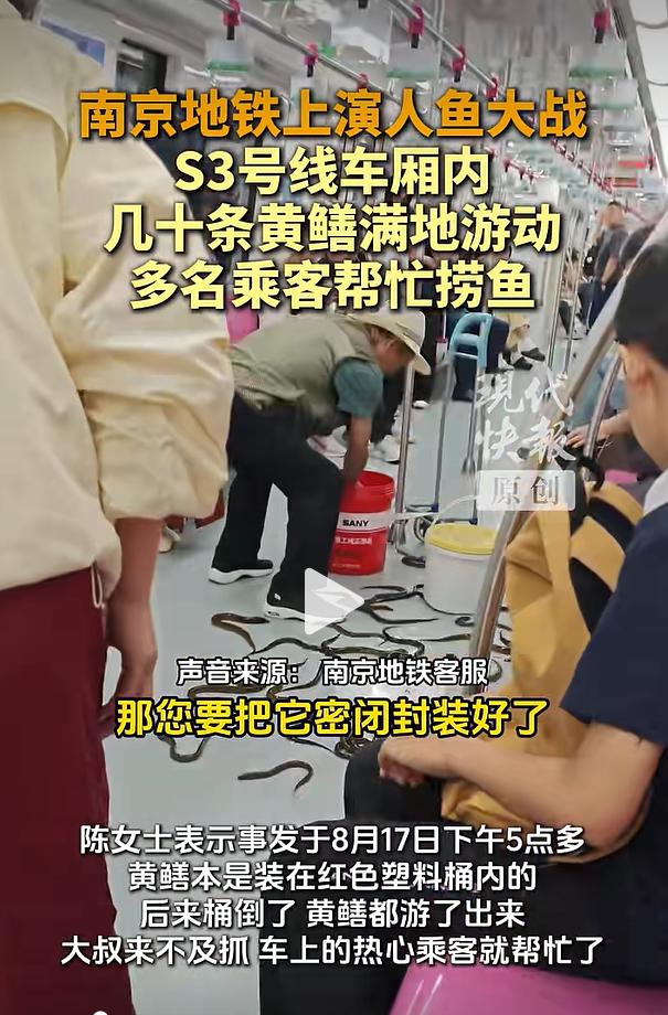 2026 年 8 月 17 日傍晚五点过后，南京地铁 S3 号线列车行驶途中发生