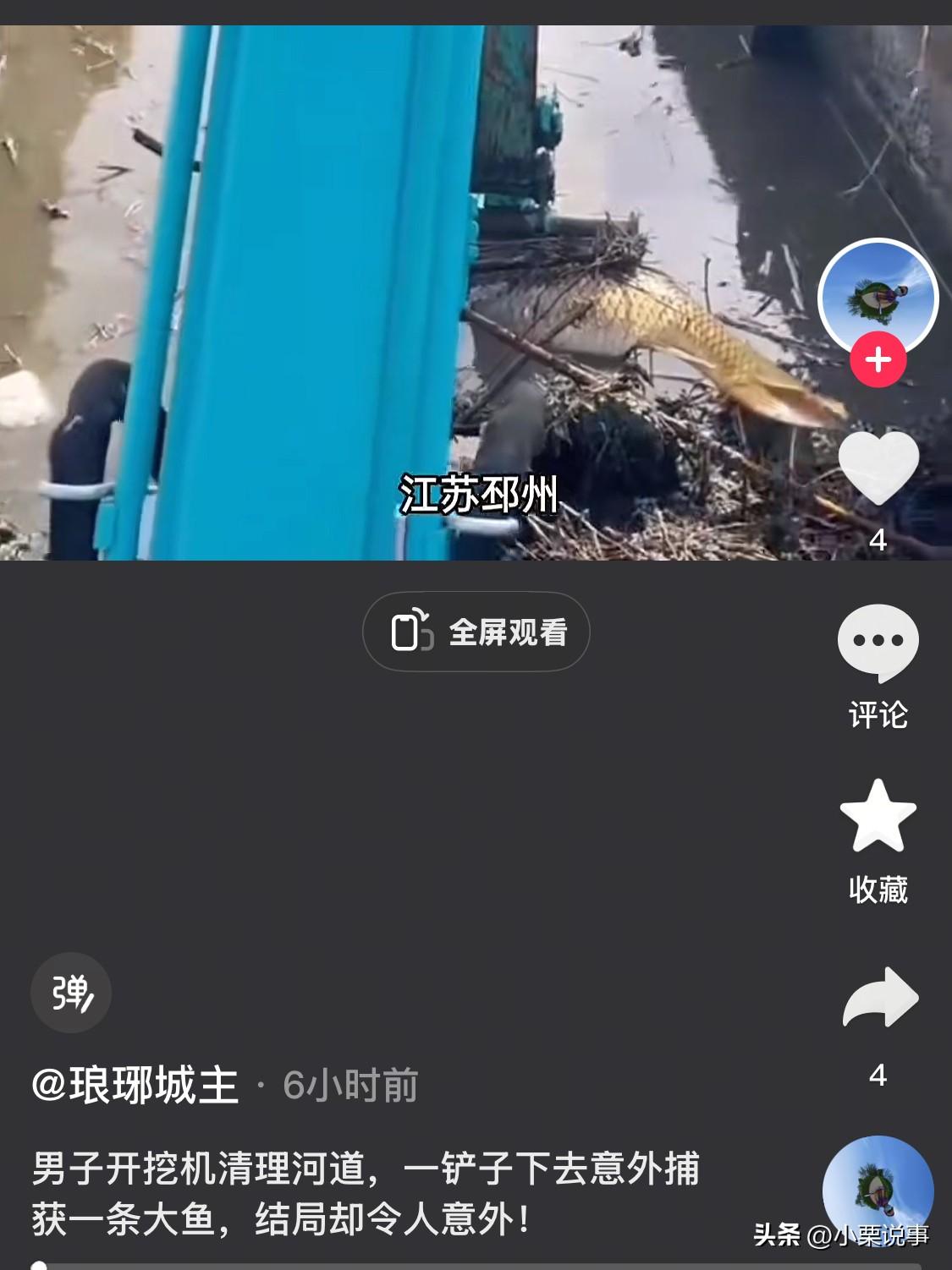 万万没想到！广东，男子开挖掘机清理河道，正大捞泥呢，结果捞着捞着，没想到突然挖起