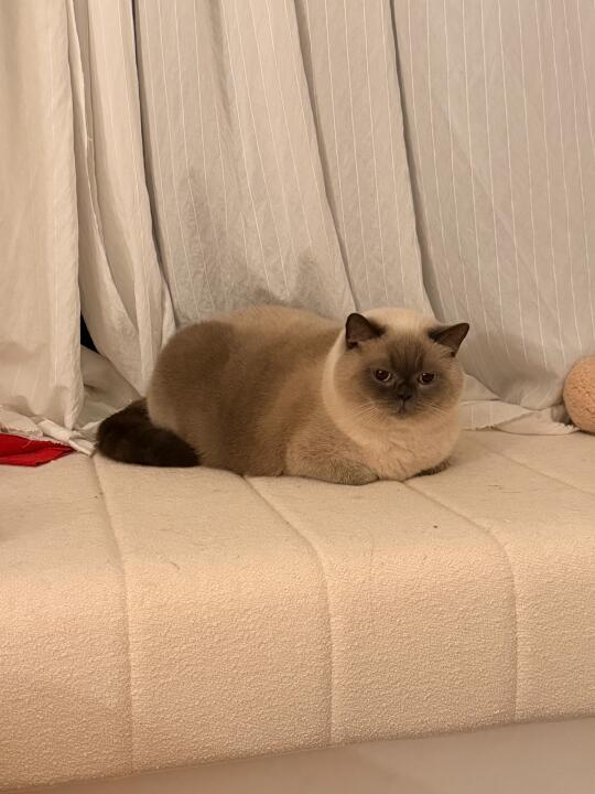 网友说他长得像三不沾…