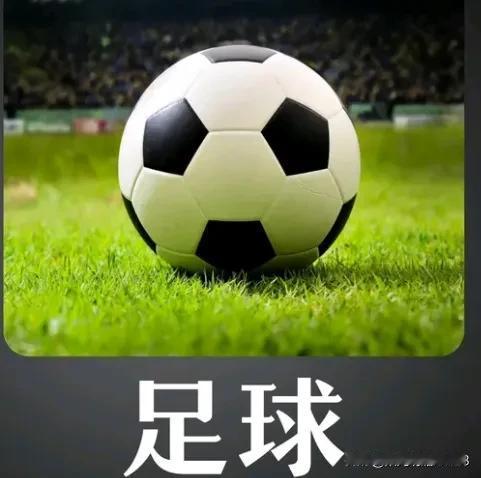 连外国人都看不下去了
川普在竞选大会上说了一段发人深省的话，他说中国有强大的经济