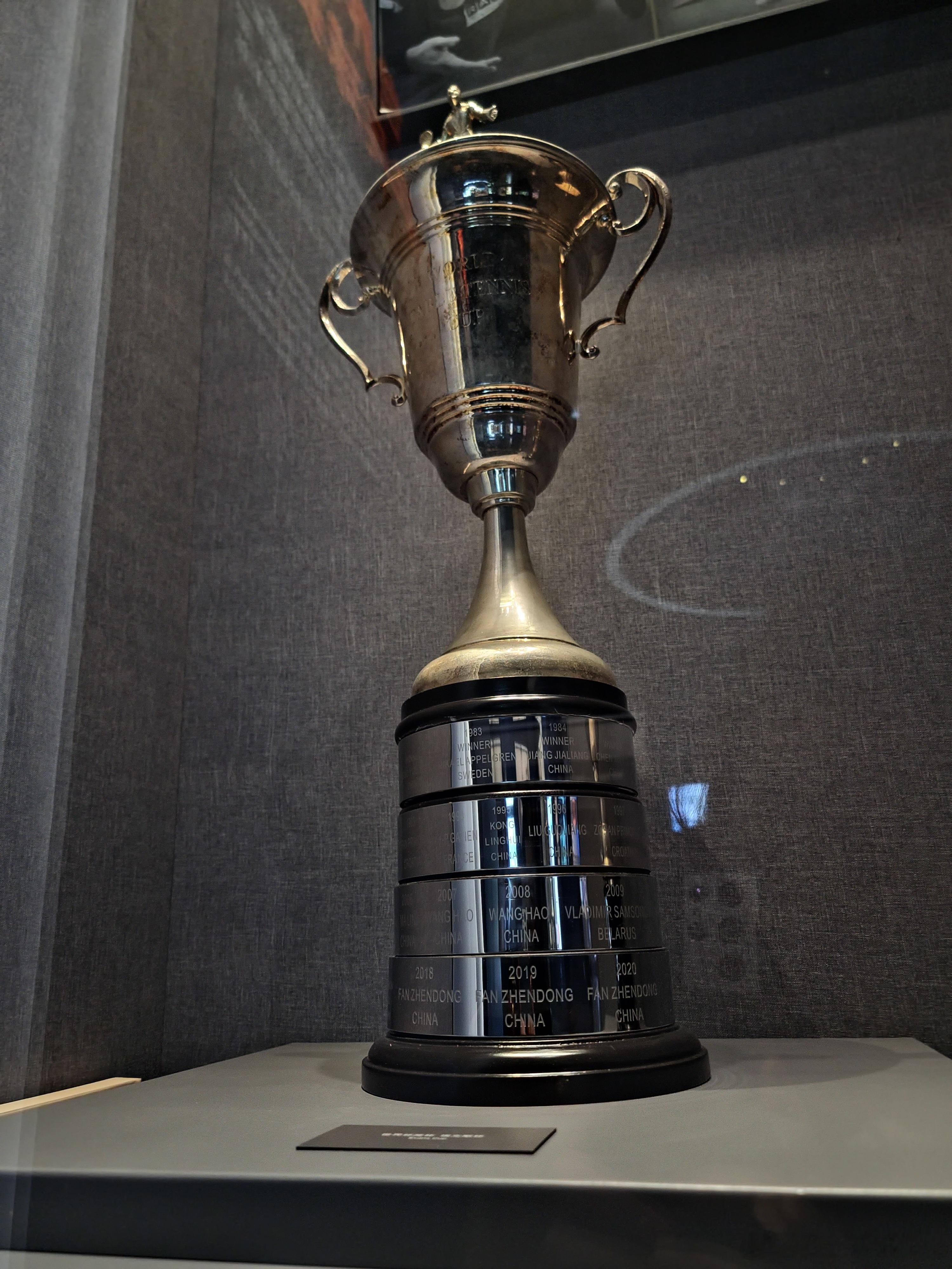 国乒 樊振东樊振东让你们觉得四冠三连理所当然轻而易举，其实只因为那是樊振东啊 ​