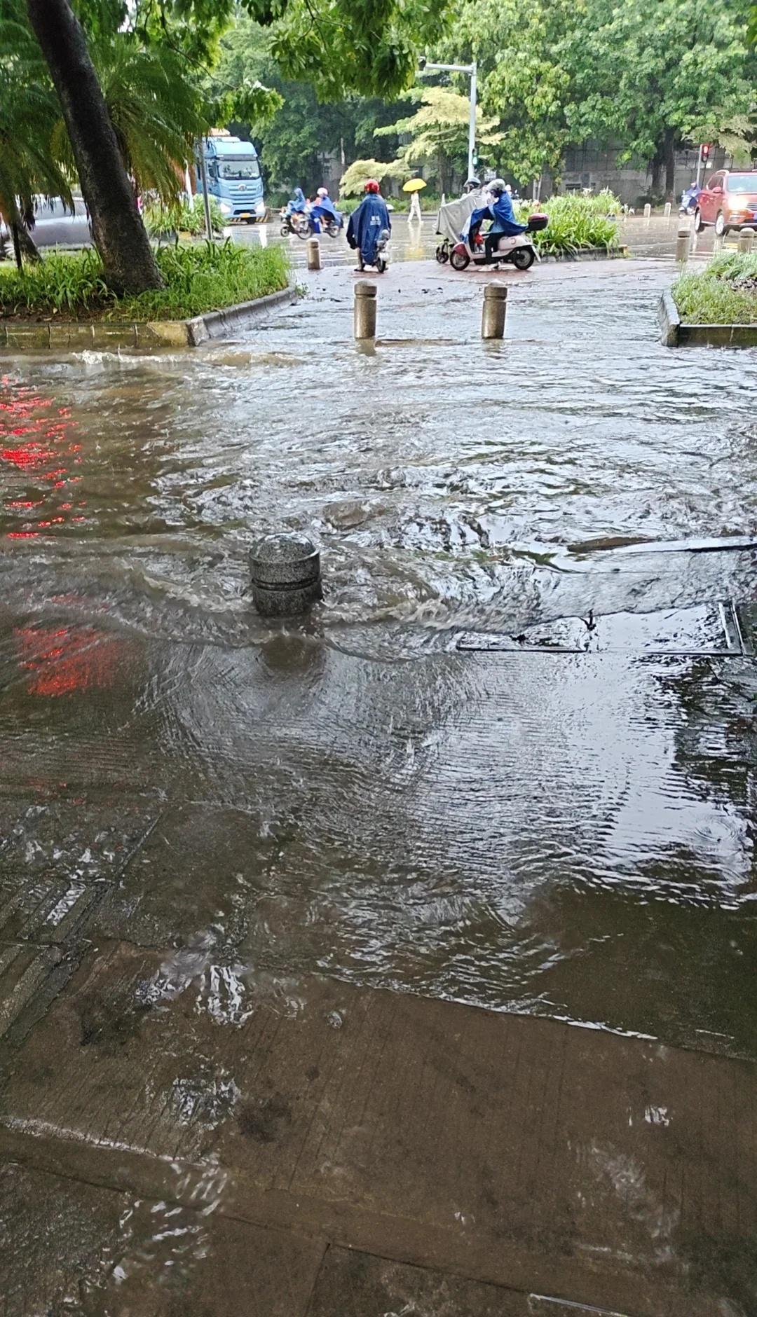 广东的雨，尿频一样
淅淅沥沥下个没完
雨一直下个不停 暴雨 南方的雨季 一到周末