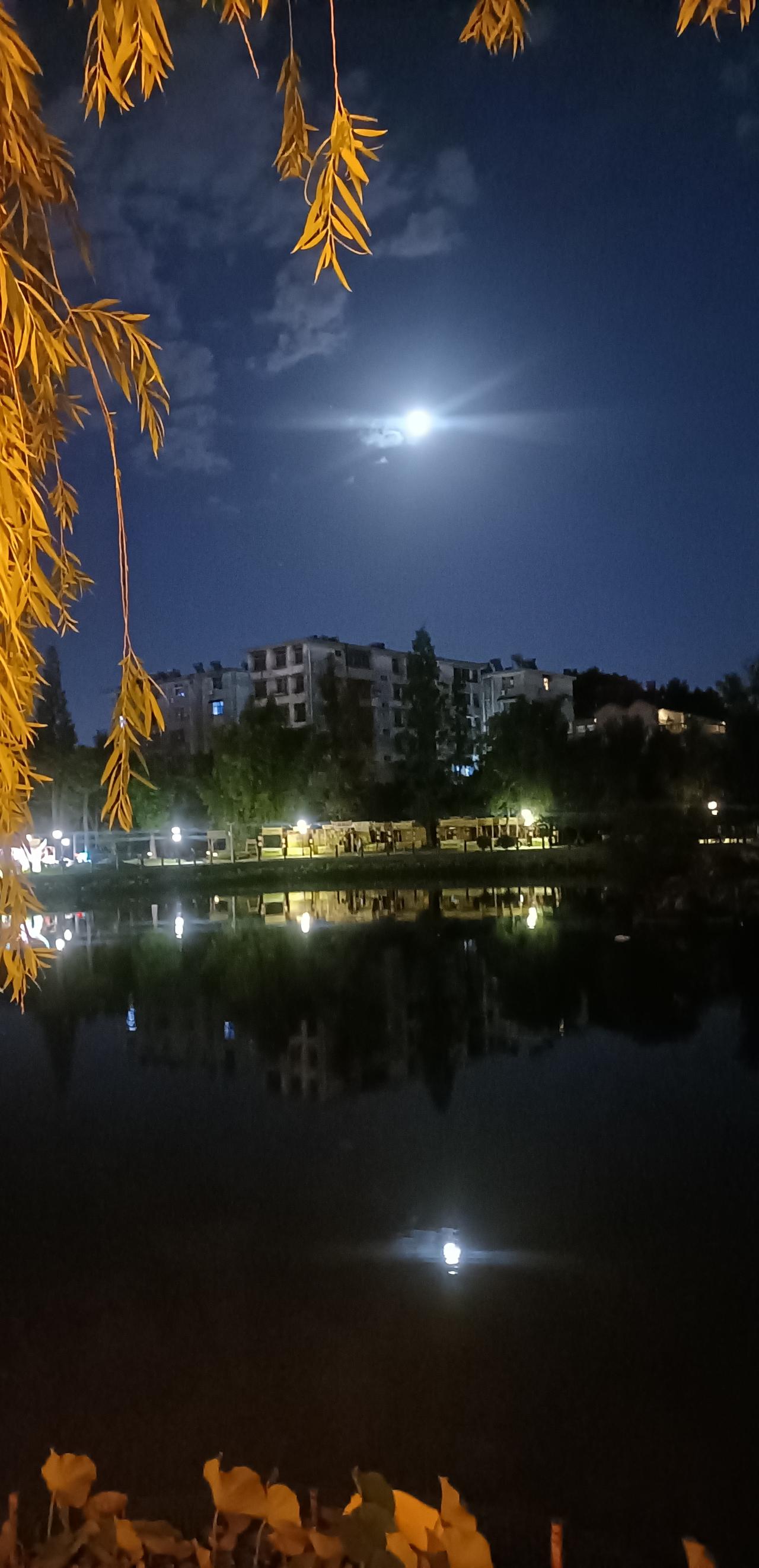 【夏之韵·莲花池公园的月夜引发的人生思考】晒晒我的摄影作品
月光清绝，
白云淡淡
