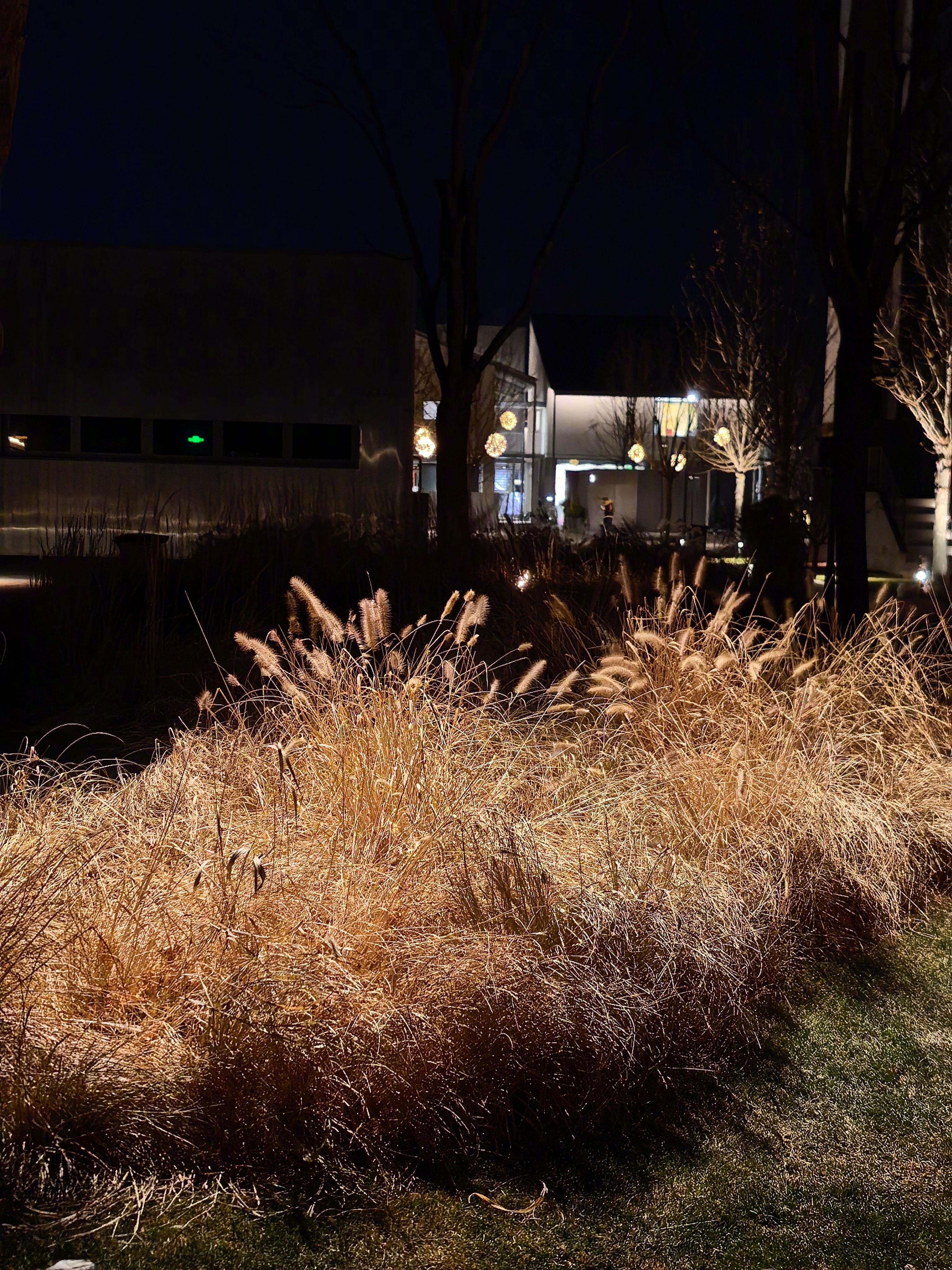 从雄安又转回了秦皇岛阿那亚的家，昨天酒店没给我们热死，30度，集中供暖没法调温度