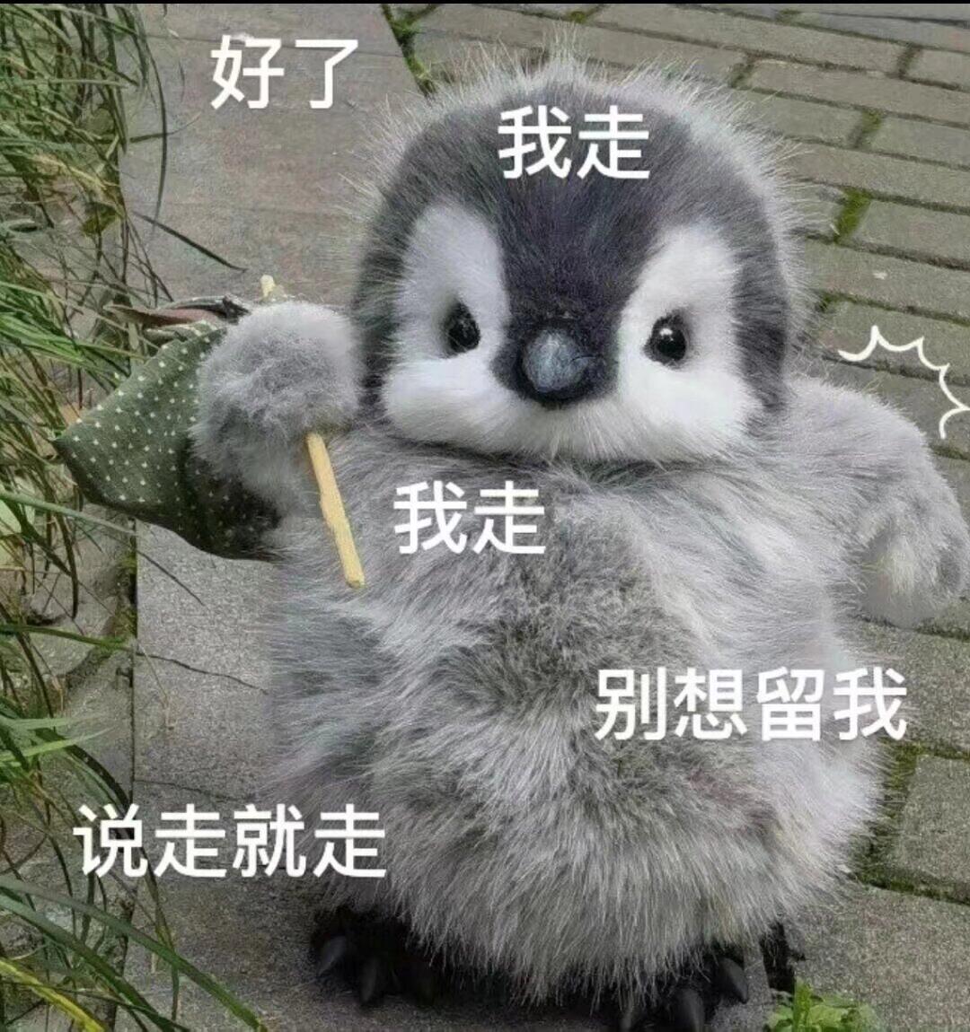 可爱的小企鹅🐧表情包 