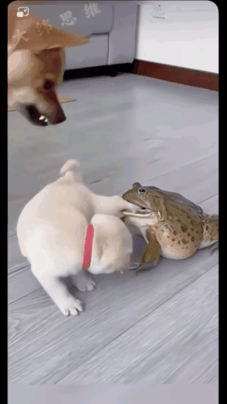 [我想静静][我想静静][我想静静][我想静静]