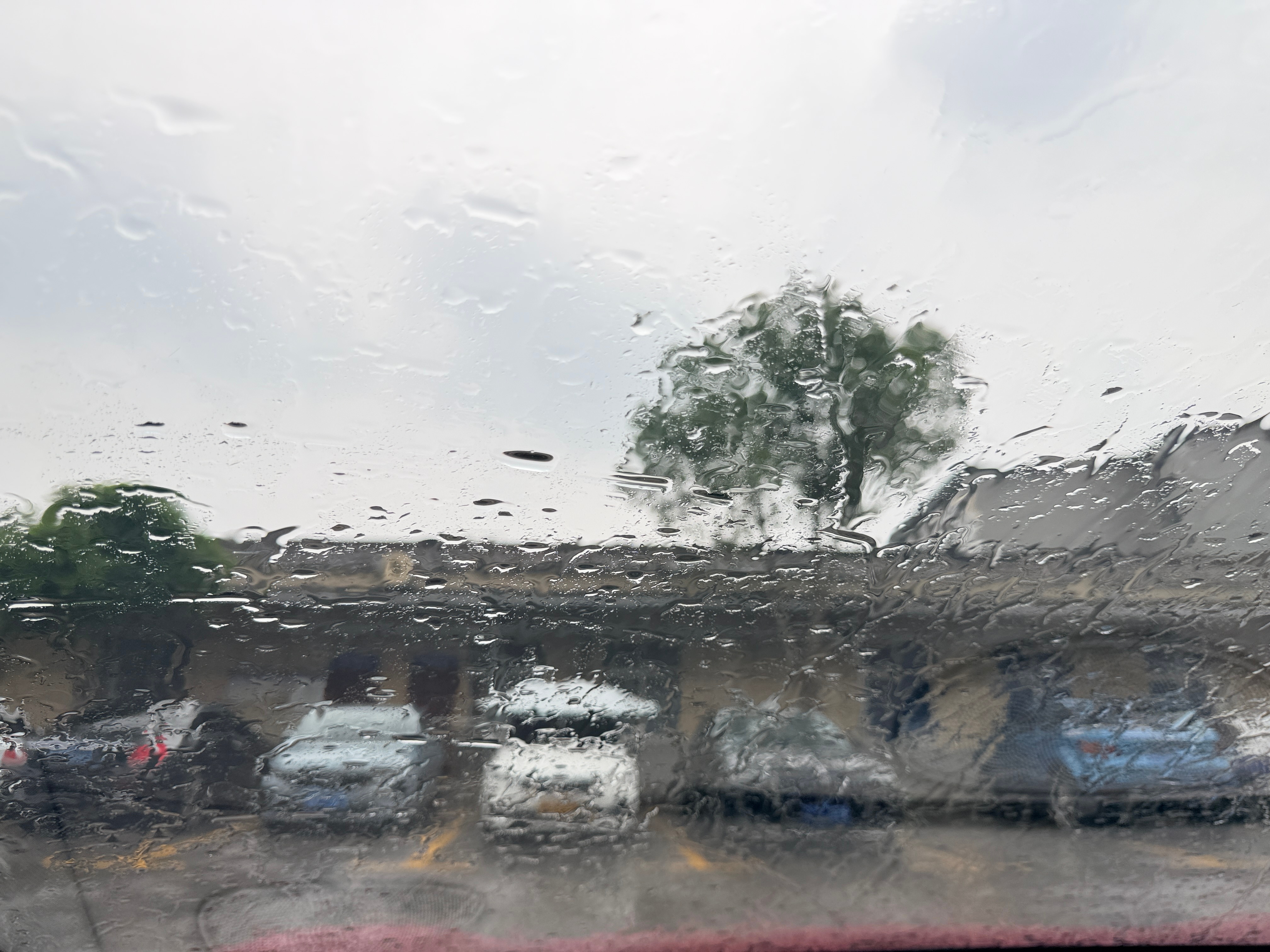 长沙开启泼水模式下午局部地区已经下了大雨，你那边开始了吗？今晚有暴雨，注意生命和