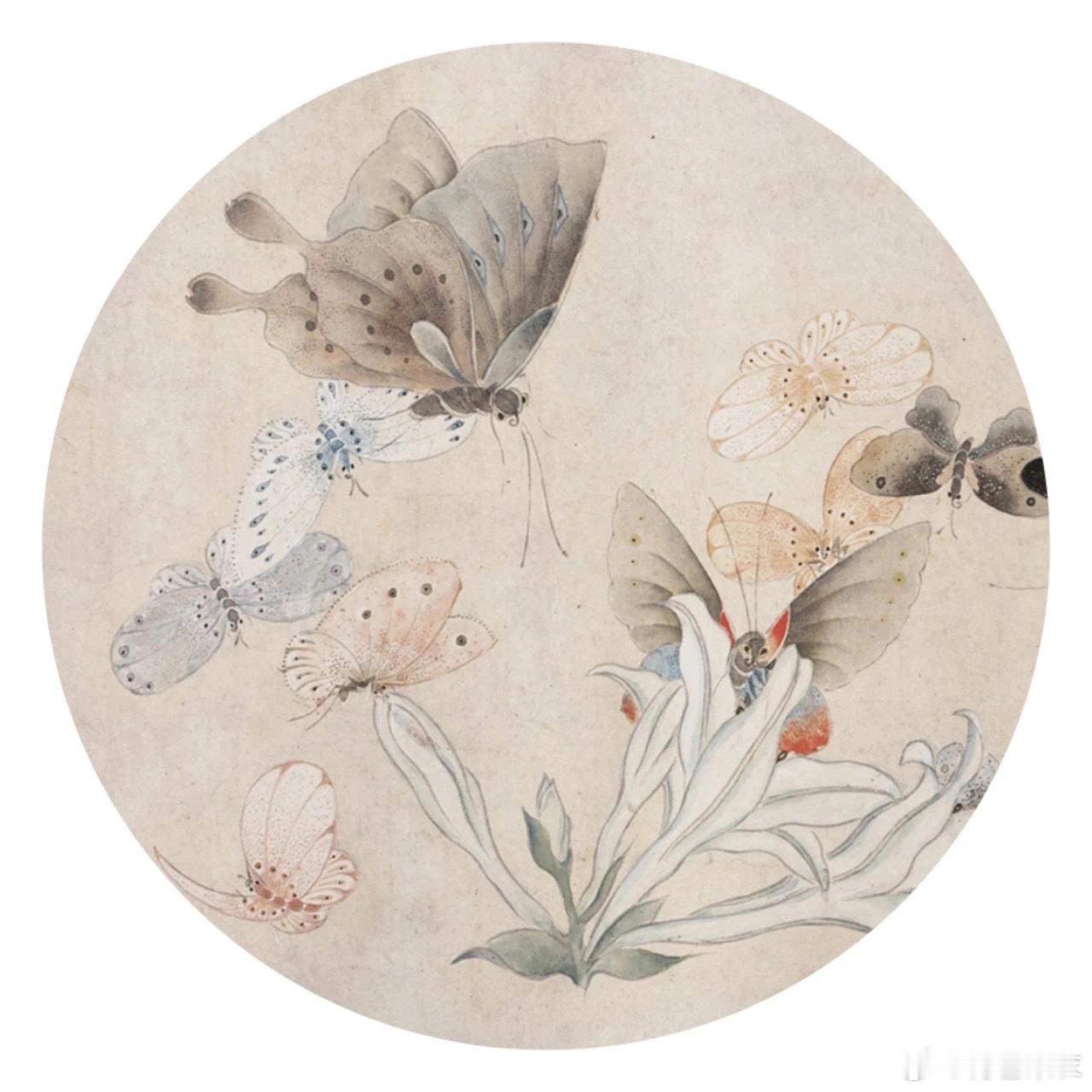 马荃《花卉蝴蝶图》 ​​​