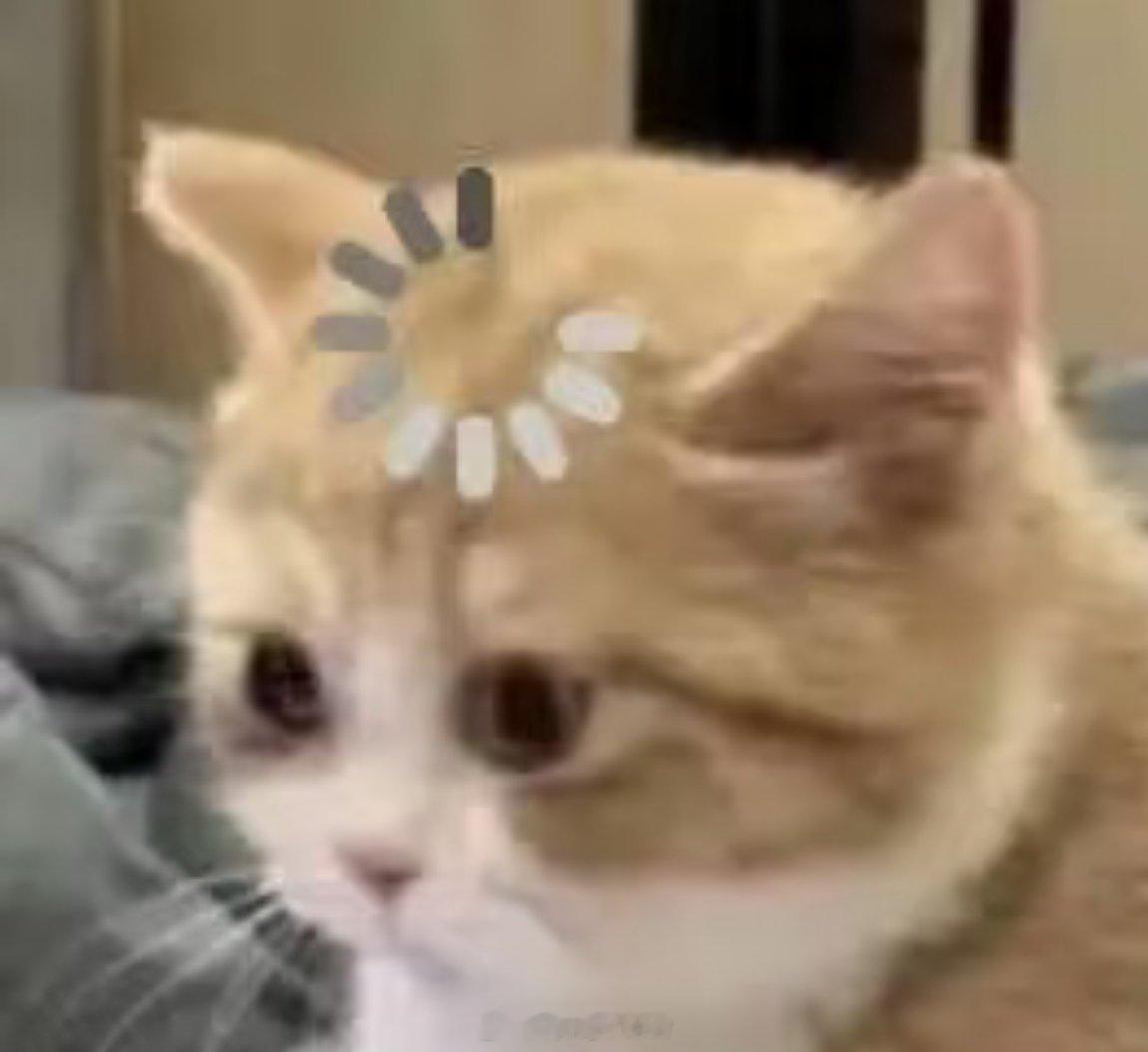 之前坐绿皮火车就这样，老是走走停停，不过停的时间倒不长。动车还真没遇见过这种情况