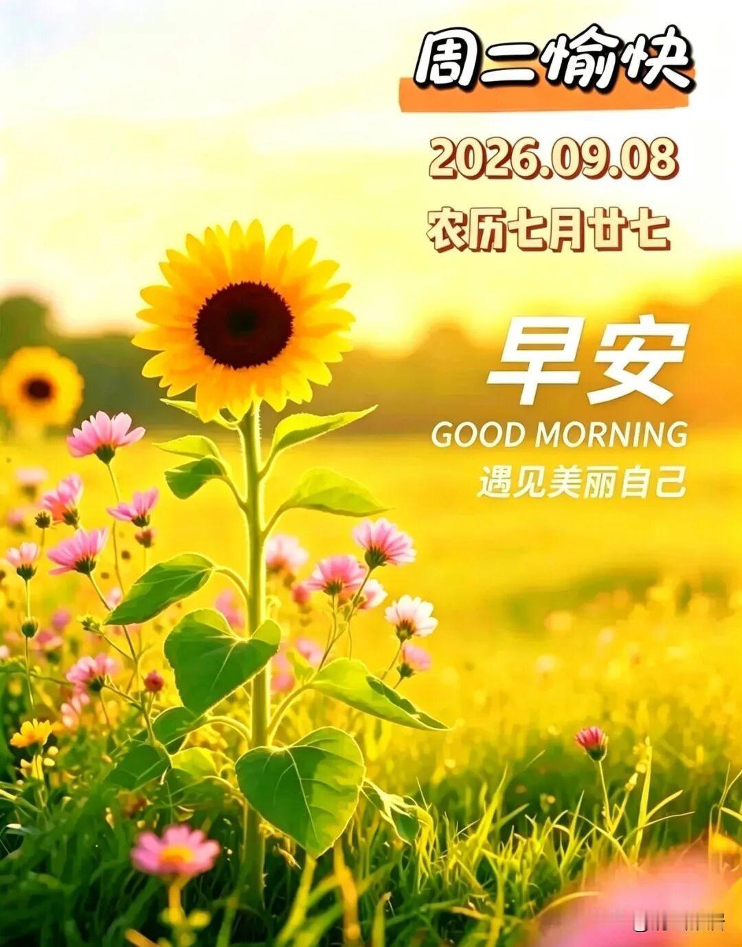 你支持英语不进主科吗我支持。中文已经成为国际通用语言，就连联合国都使用中文进行交