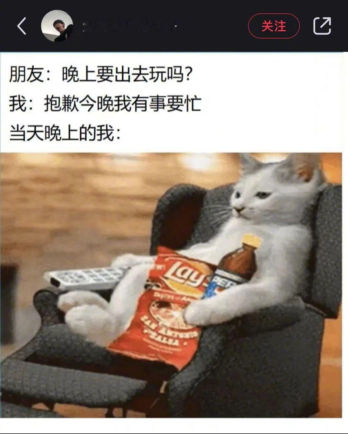 人间真实梗图大放送，好家伙一整个大无语！ 
