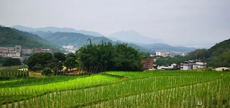 现在很多农民讨厌专家，原因很明显。以前专家在农民心中是高精尖，像袁老，在田间不断
