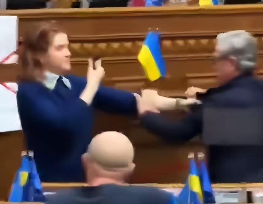 2. 基辅爆发两场内斗：政客互殴 军队火并：基辅爆发两场内斗：同属泽连斯基一党的