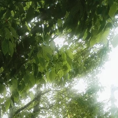 当一个人真正觉悟的一刻，他放弃追寻外在世界的财富，而开始追寻他内心世界的真正财富