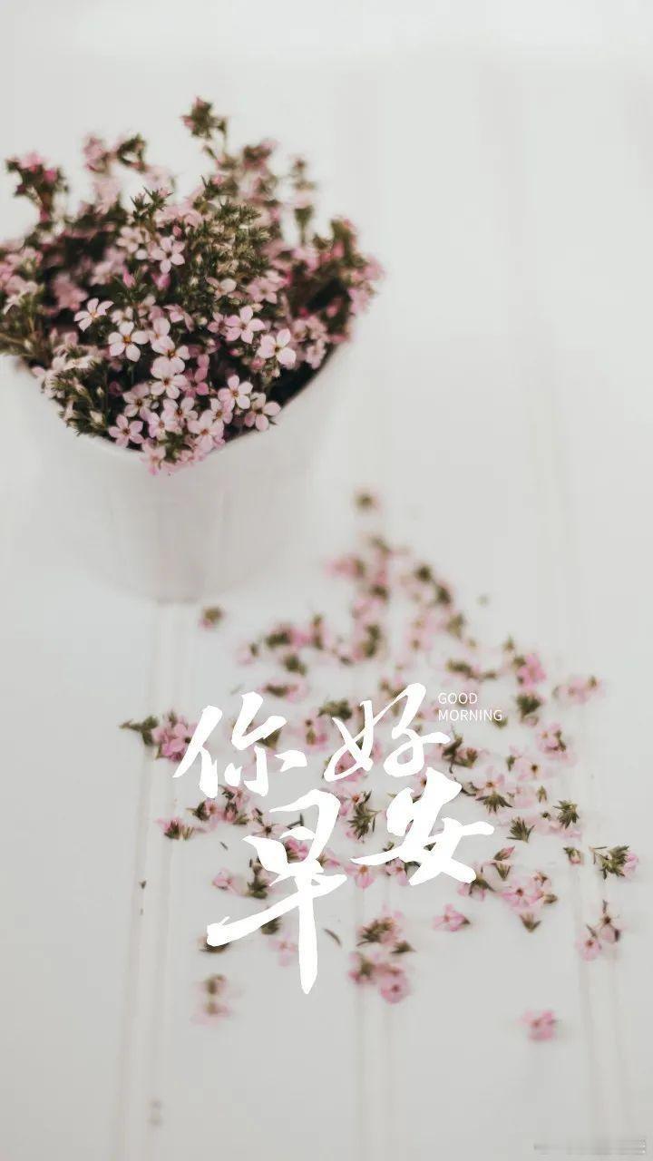 ◞♡ ²⁰²⁴/₀₃.₁₆🍃~𖠚ᐝ𝙀𝙫𝙚𝙧𝙮 𝙙𝙖𝙮 𝙞?