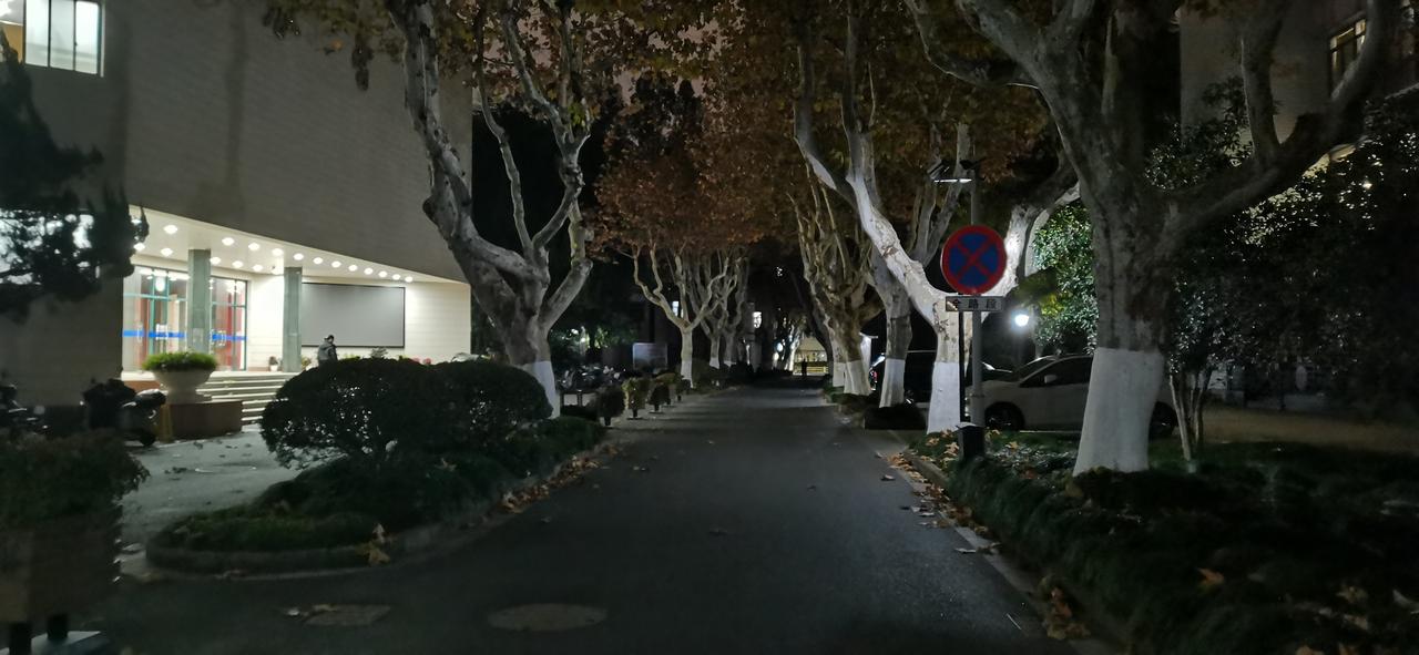 高校，有大楼和大师，更多的是一种底蕴有大树。