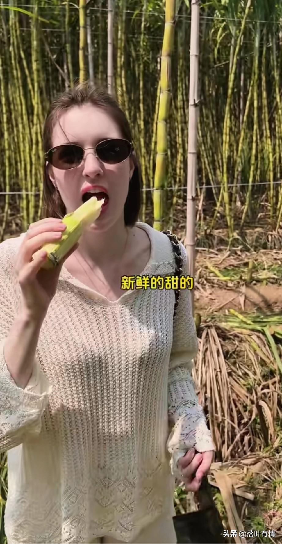 很多老外都没有吃过甘蔗，
在她们眼里那就是竹子，
毕竟只看过大熊猫吃这个，
这名