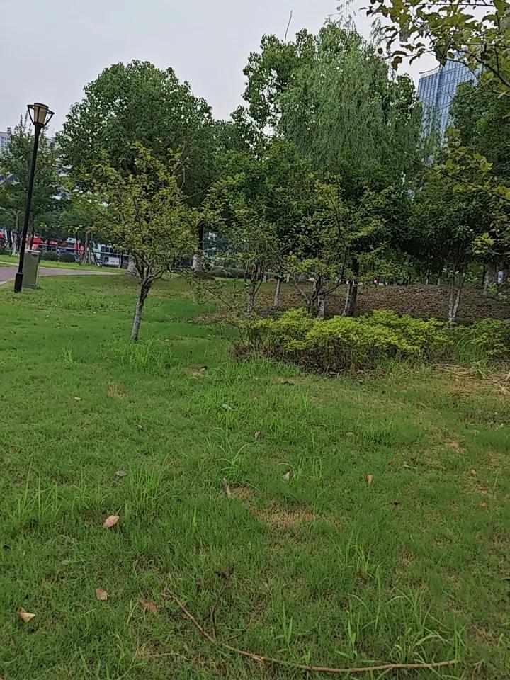 人过45岁务必清醒！中老年90%常见病，不是老了，是不懂保命
 
作为养生专家，