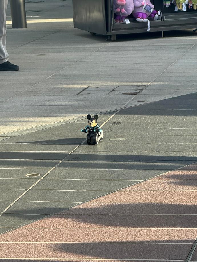 迪士尼卫生不行啊路上老鼠乱窜 