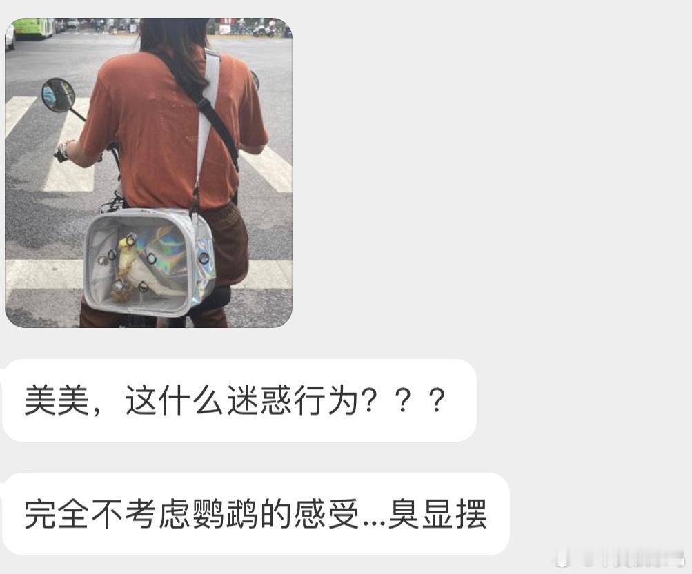 养鹦鹉的小天才们怎么看 ​​​