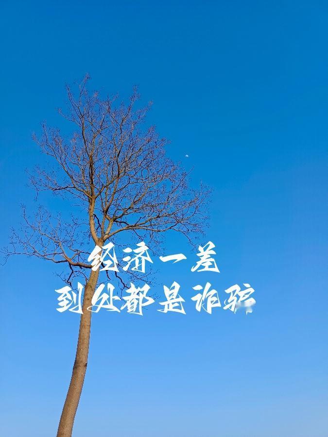 人到了一定年纪，回头看才慢慢琢磨透一个真 相：这世上大多数的人其实跟你的命运没多